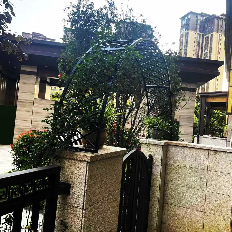 

Shelf Doorstack Door Head Wrought Iron Arch Climbing Flower Arch Flower Stand Climbing Vine Frame Courtyard Villa Arch