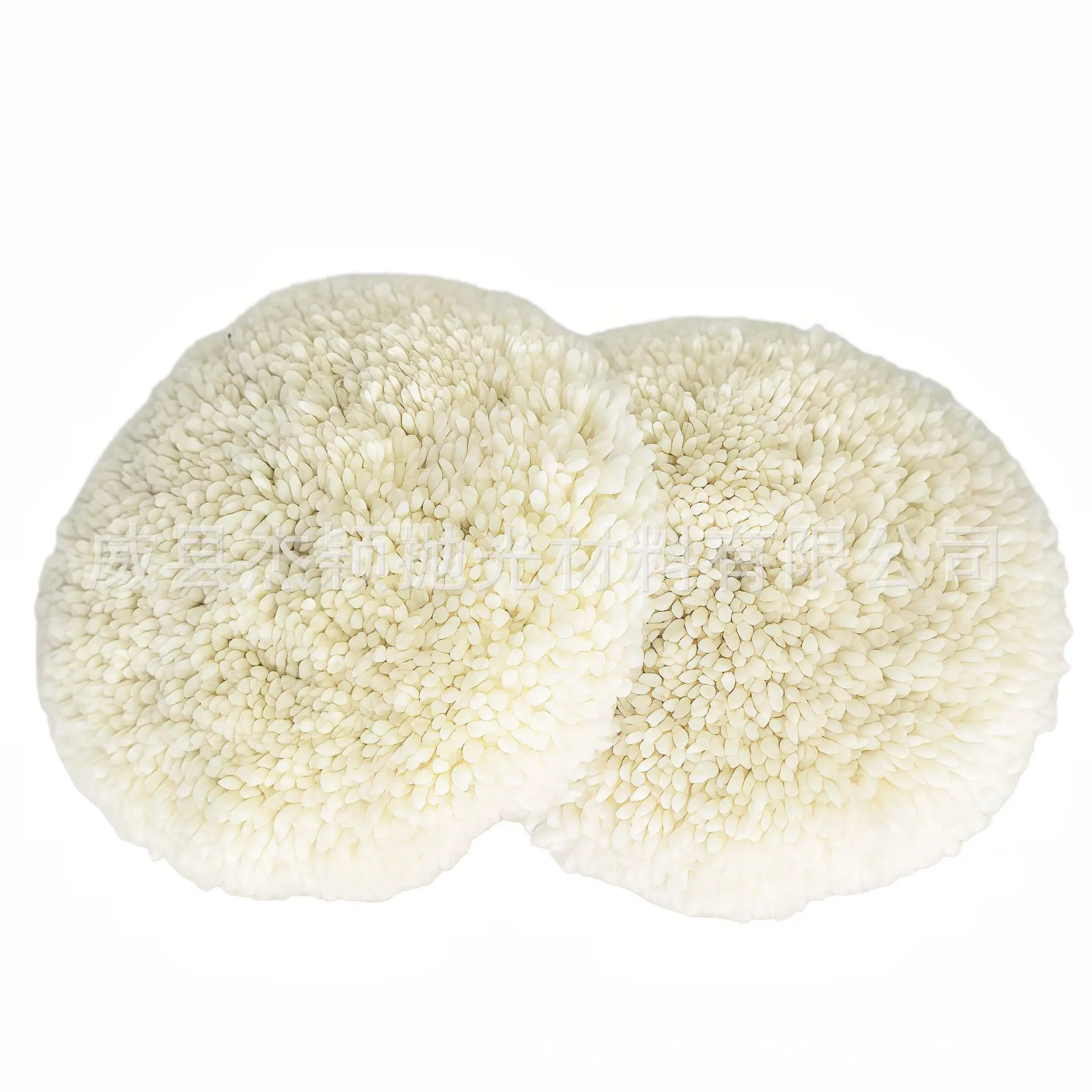 Double Sided Wool Polishing Bonnet Pad 7 to 8 Inch M16 Thread for Car Buffer Waxing Compounding Paint Care Surface Finishing