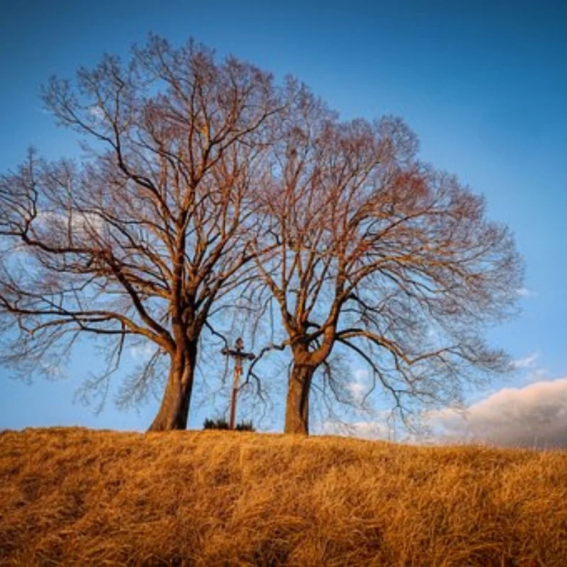 

4 шт. wltoys 144001 124019 124017 A959 детали на дорожные пенопластовые шины, колесо 68 мм, подходят для шестигранников 12 мм для автомобилей 1/16 1/14 1/12 remotre contrl