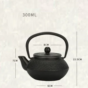 Small Japanese Iron Tea Pot with Stainless Steel Infuser Cast Teapot 300ML  Kettle for Boiling Water Oolong