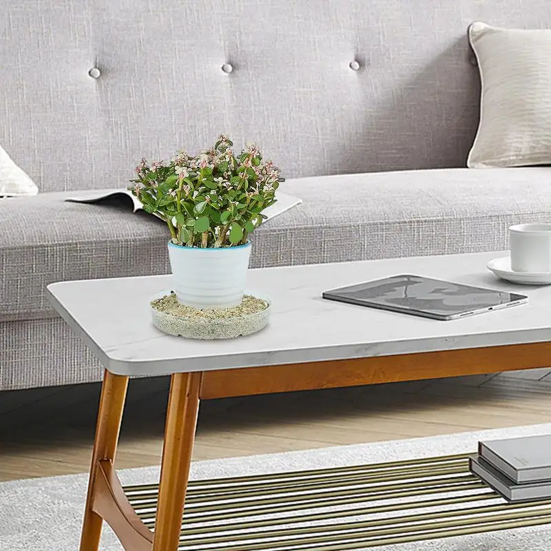 5 قطعة الصحن النباتات البلاستيكية دائم 6/8/10 بوصة صواني النباتات بالتنقيط المستديرة اناء للزهور صينية داخلي في الهواء الطلق لوازم حديقة المنزل