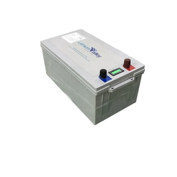 Rechargeable Battery Lithium ion Battery 24V 100Ah LiFePo4 for RV/Marine/Solar /Golf cart/UPS/Camping car