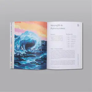 A beautiful year in the Bible Bible - Bible Study for Women Bible Year of the Bible Bible Study Guide 8 Main Sales Study Bible - №2