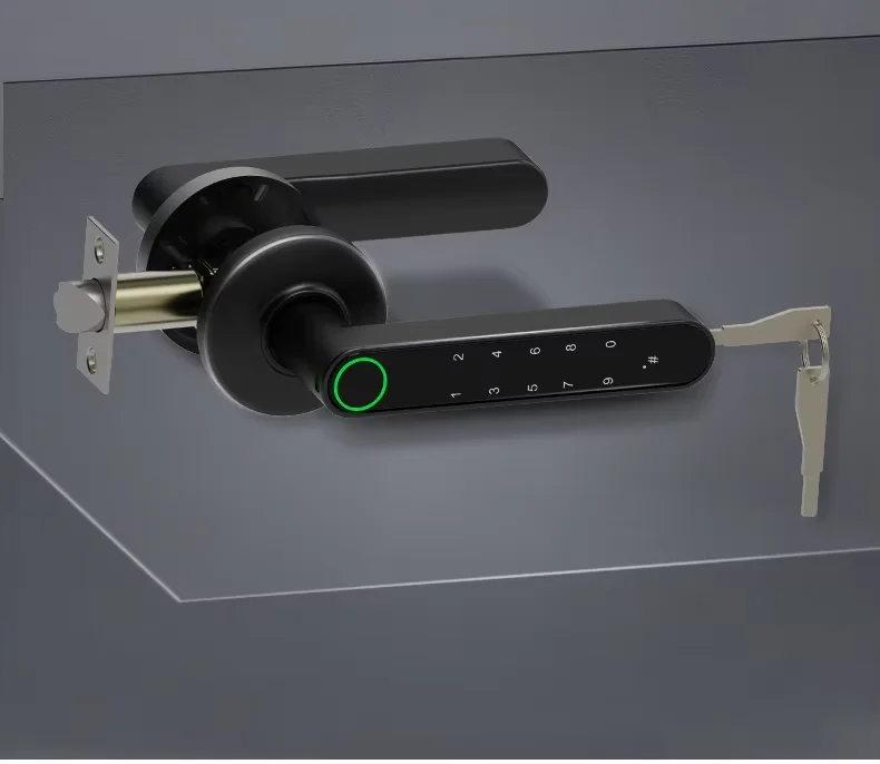 WiFi Networked Intelligent Bedroom Home Electronic Handle  App Fingerprint Lever Smart Door Lock Set
