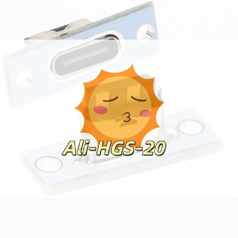 

2 Pin Type C USB 31 Connector With Secure Mounting Plate For Reliable Connection PCB DIY Use