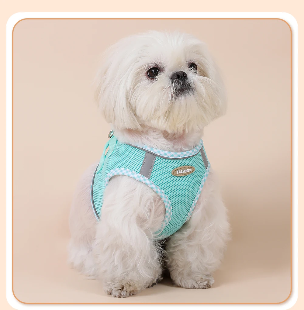 Hundegeschirr für Katzen, verstellbares Geschirr und Leine-Set für kleine Haustiere, atmungsaktive Weste für Mops, Chihuahua, Bulldogge, Hundezubehör – Detail 10