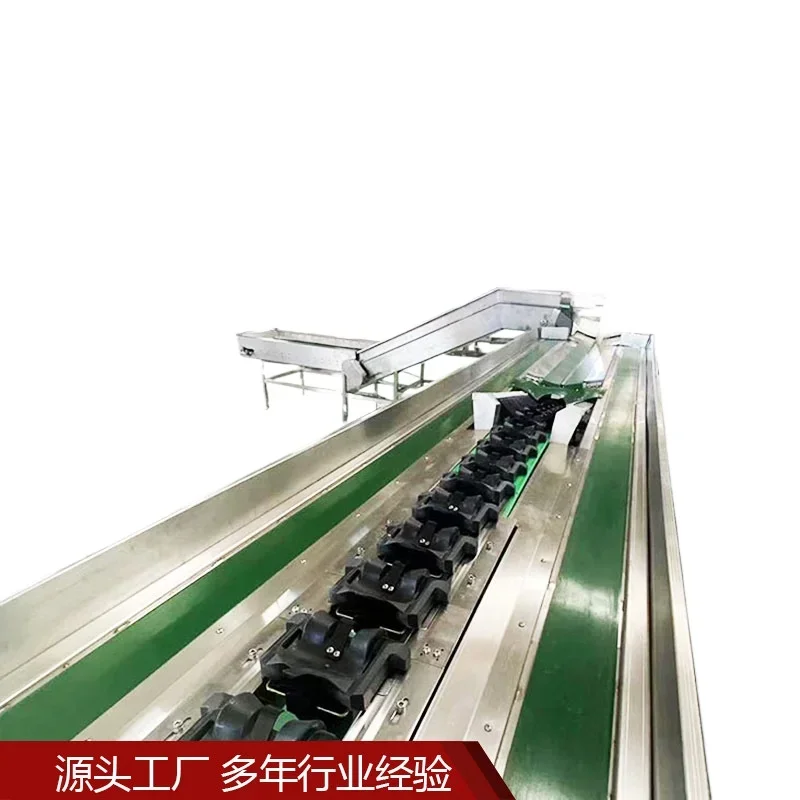 Smistatrice intelligente per frutta