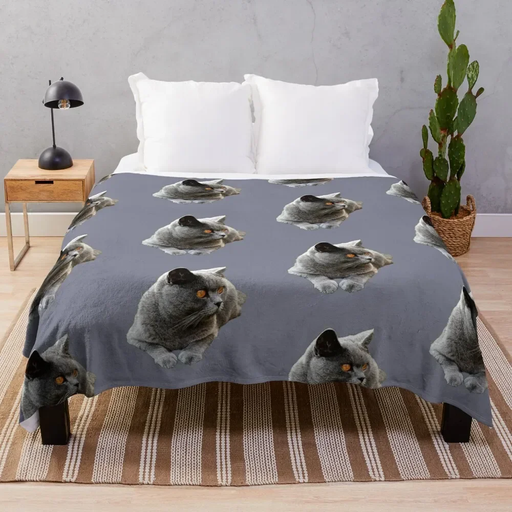 

British Shorthair Blue Cat Throw Blanket Bed warm for winter Blankets