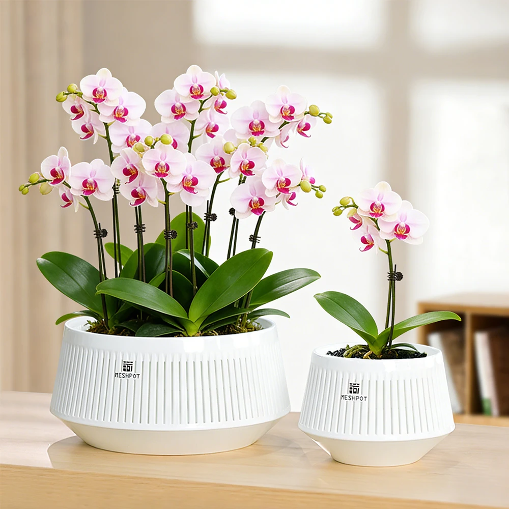 

Пластиковый горшок для орхидей Meshpot с дренажным поддоном - Элегантный комнатный цветочный горшок для фаленопсисов, горшок для орхидей - 12 см, 21 см