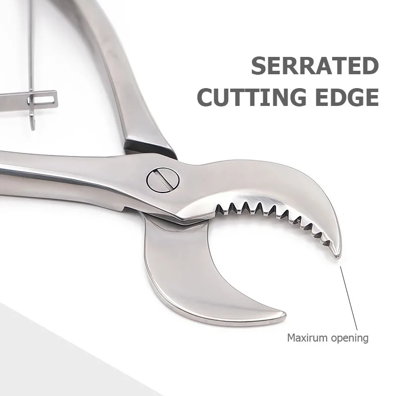 1Pcs Dental Technician's Plaster Clamp, Stainless Steel, Suitable for High-Temperature Sterilization, Dental Laboratory Tool
