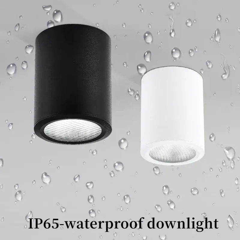 Wodoodporny downlight LED do montażu powierzchniowego. Zewnętrzna lampa sufitowa hotelowa na balkonie, odporna na wilgoć, przeciwmgielna lampa