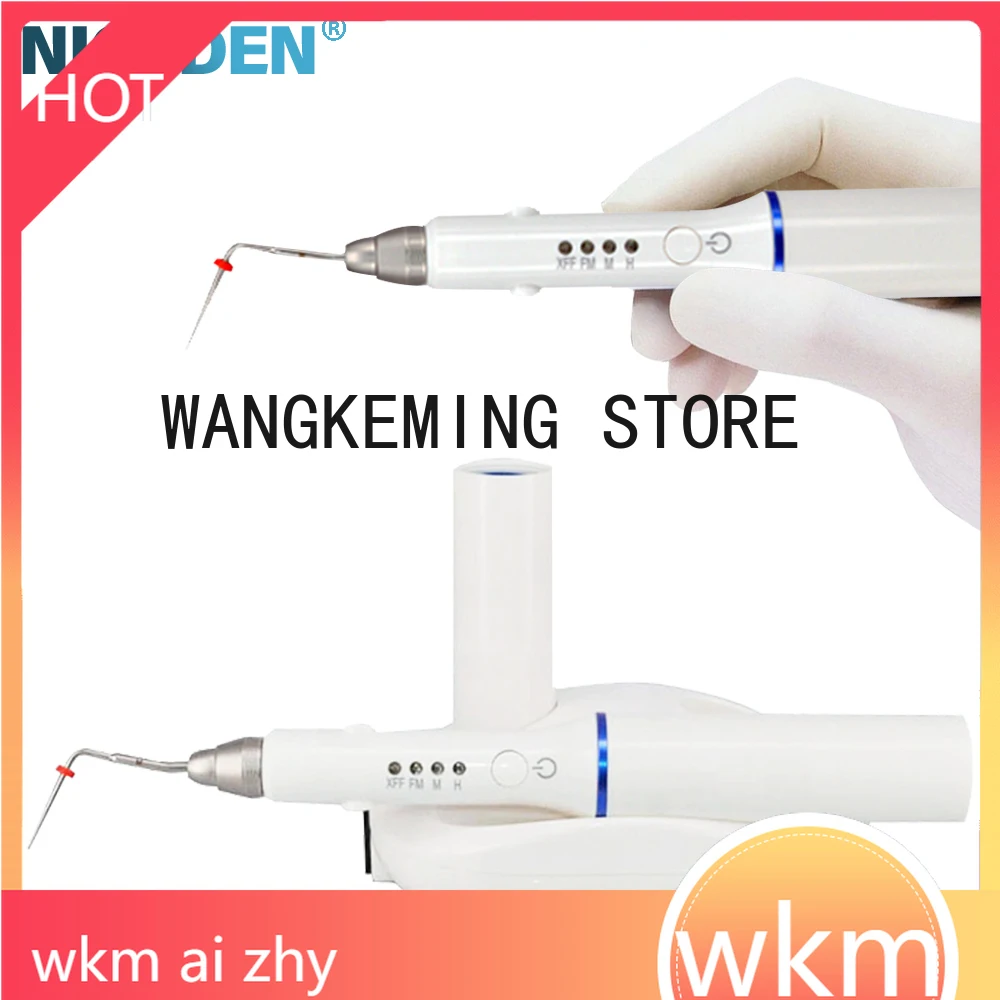den tal système d'obturation sans fil Gutta Percha stylo chauffant Endodontique Endo 4 pointes Double charge
