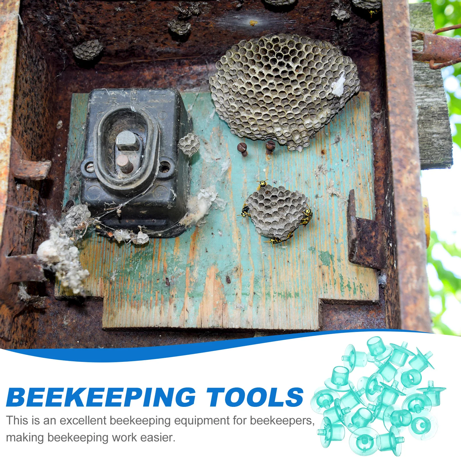 

100Pcs Reliable Beekeeper Rearing Cups Heavy Duty Bee Cell Cultivation Bases for Effective Bee Storage Solutions