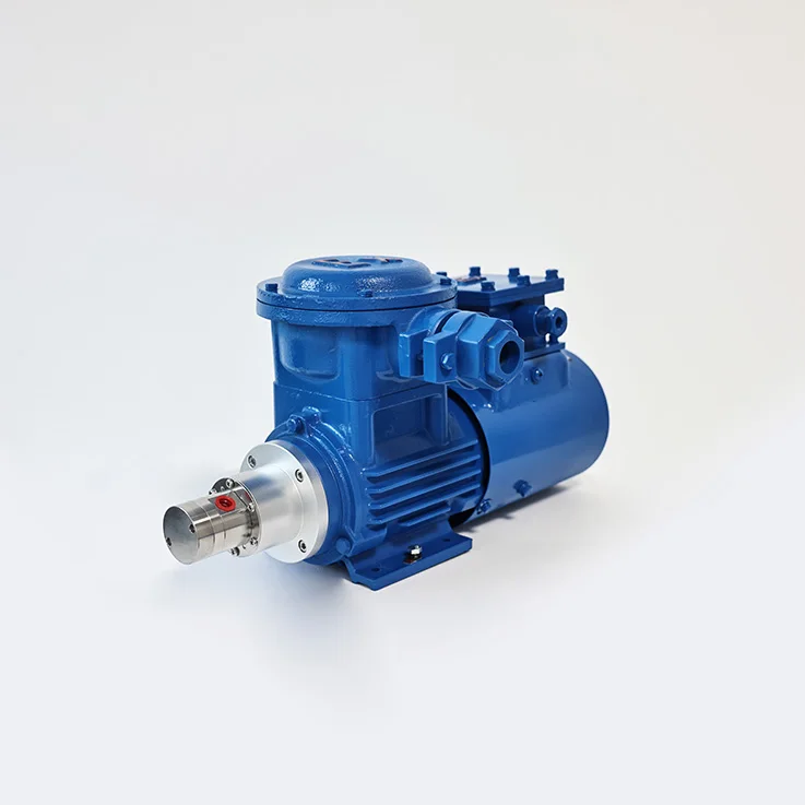 

Полностью герметичный магнитный шестеренный насос без обслуживания, пищевой трансферный насос с защитой от протечек