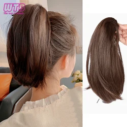 WTB extensión de cola de caballo recta corta sintética, Clip de garra en extensiones de cabello, cola de caballo Natural, postizo de cabello falso para mujer