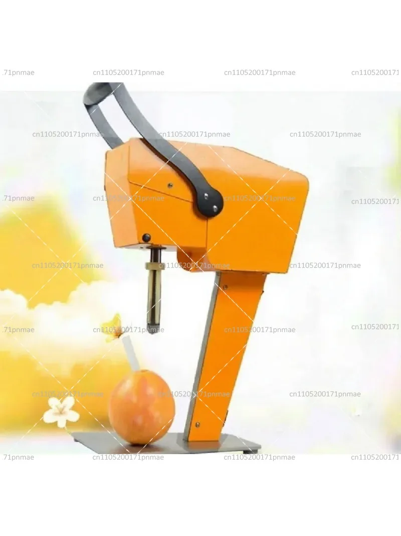 Fresh Fruit Juicer for Dragon Fruit Orange, 100% Pure Juice Direct Drink No Peeling, Home Use