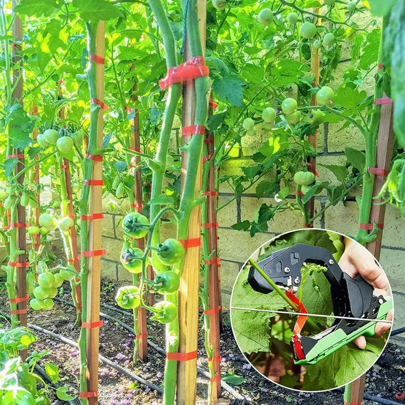 Lightweight Plant Tying Machine To Bind Tomatoes And Grapes Effortless, Including Spare SK5 Blade, Tapes And Staples Durable