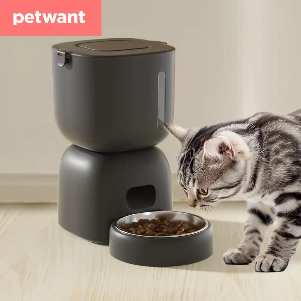 

Petwant Smart 3L Visible BPA-Free 4 Meals Timed Automatic Pet Food Feeder Bowl Dog Cat Kibble Dispenser Accessories For Cats