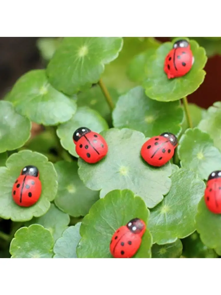

100шт окрашенные мини деревянные божьей коровки миниатюрные украшения с плоской спинкой DIY графты