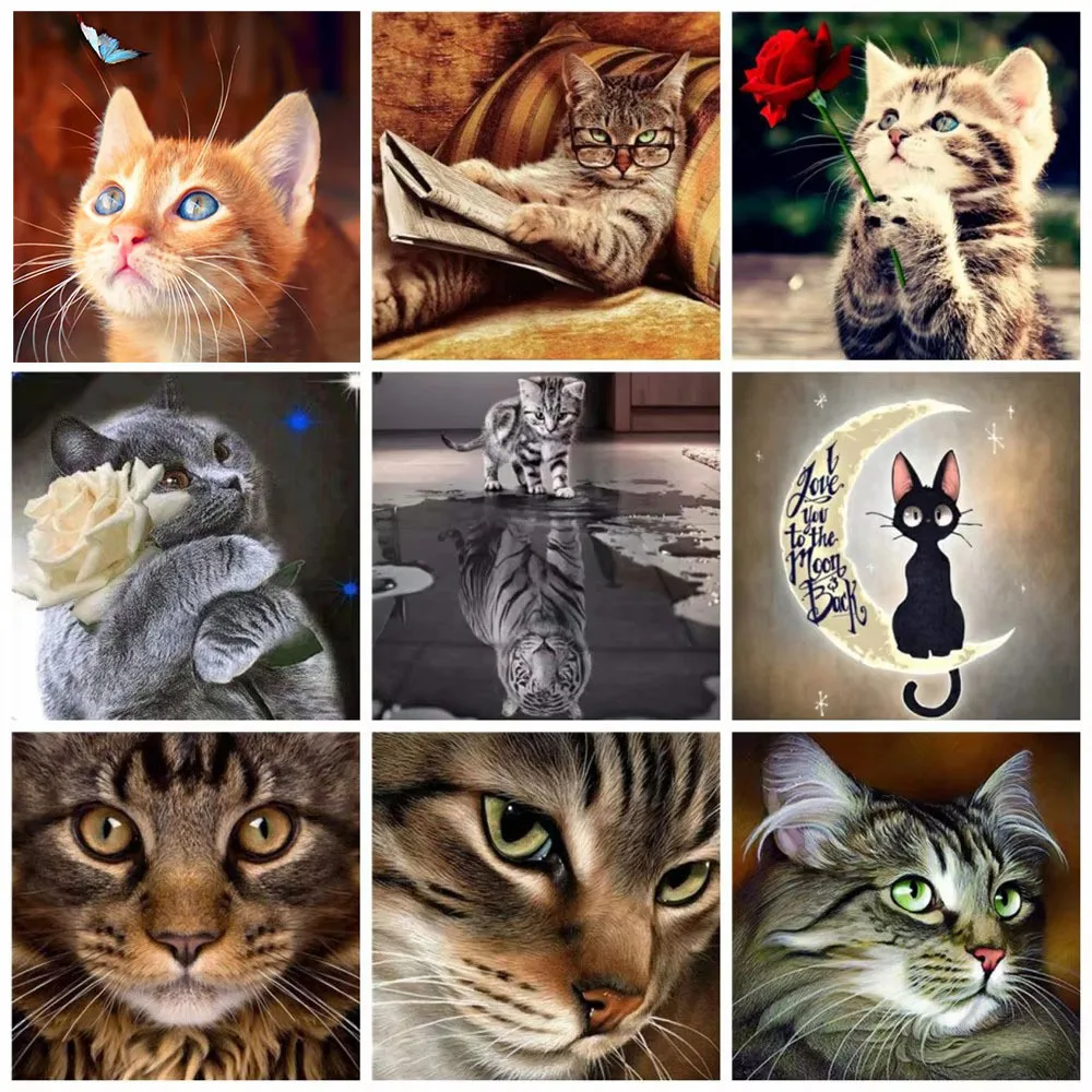 YHX926 Diamond Painting Kits for Adults,Full Drill Cat,DIY 5D Diamond Art Kit Cross Stitch Crafts Art for Home Wall Decor Living Room Embroidery Gifts 15.7×11.8 Inch YHX926 Diamond Painting Kits for Adults,Full Drill Cat,DIY 5D Diamond Art Kit Cross Stitch Crafts Art for Home Wall Decor Living Room Embroidery Gifts 15.7×11.8 Inch