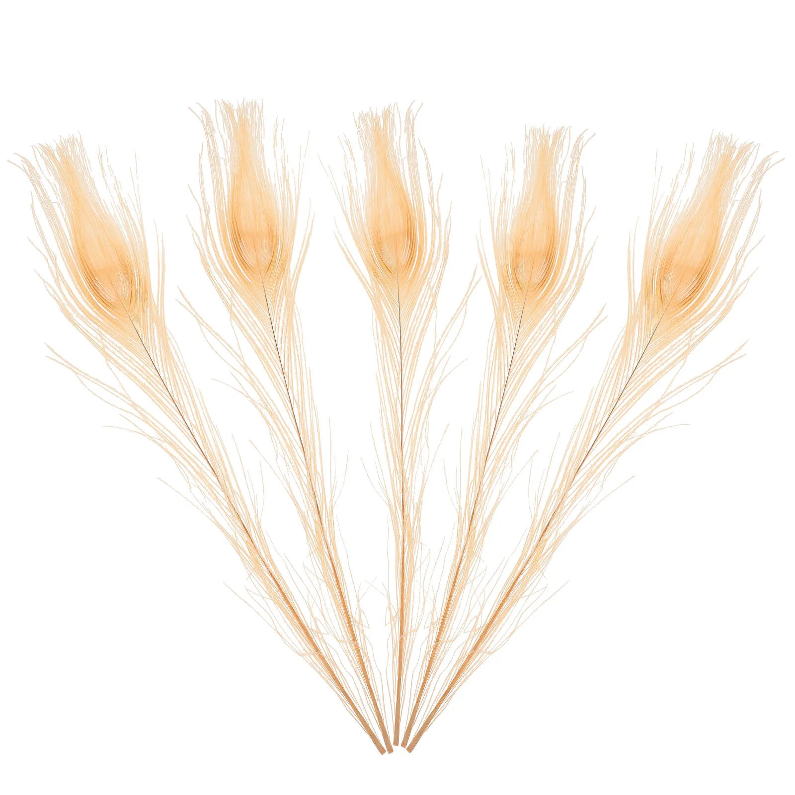 

5Pcs Peacock Plumes for Vase Decorative Filling DIY Craft Projects Natural Plume Materials Wedding Holiday Home Decoration