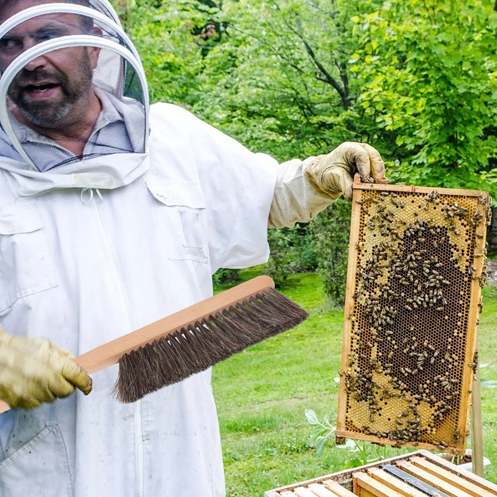 

Bee Sweeping Nail Lifter Brush Durable Wood Handle Beekeeping Tools Accessories Safe Quality Beehive Stainless Steel Pest