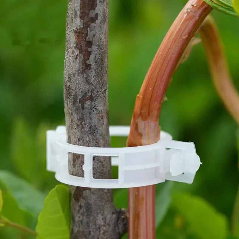 Clips de soporte de plástico para plantas, herramienta de fijación de injerto, protección de vid, reutilizable, para vegetales, tomate, suministros