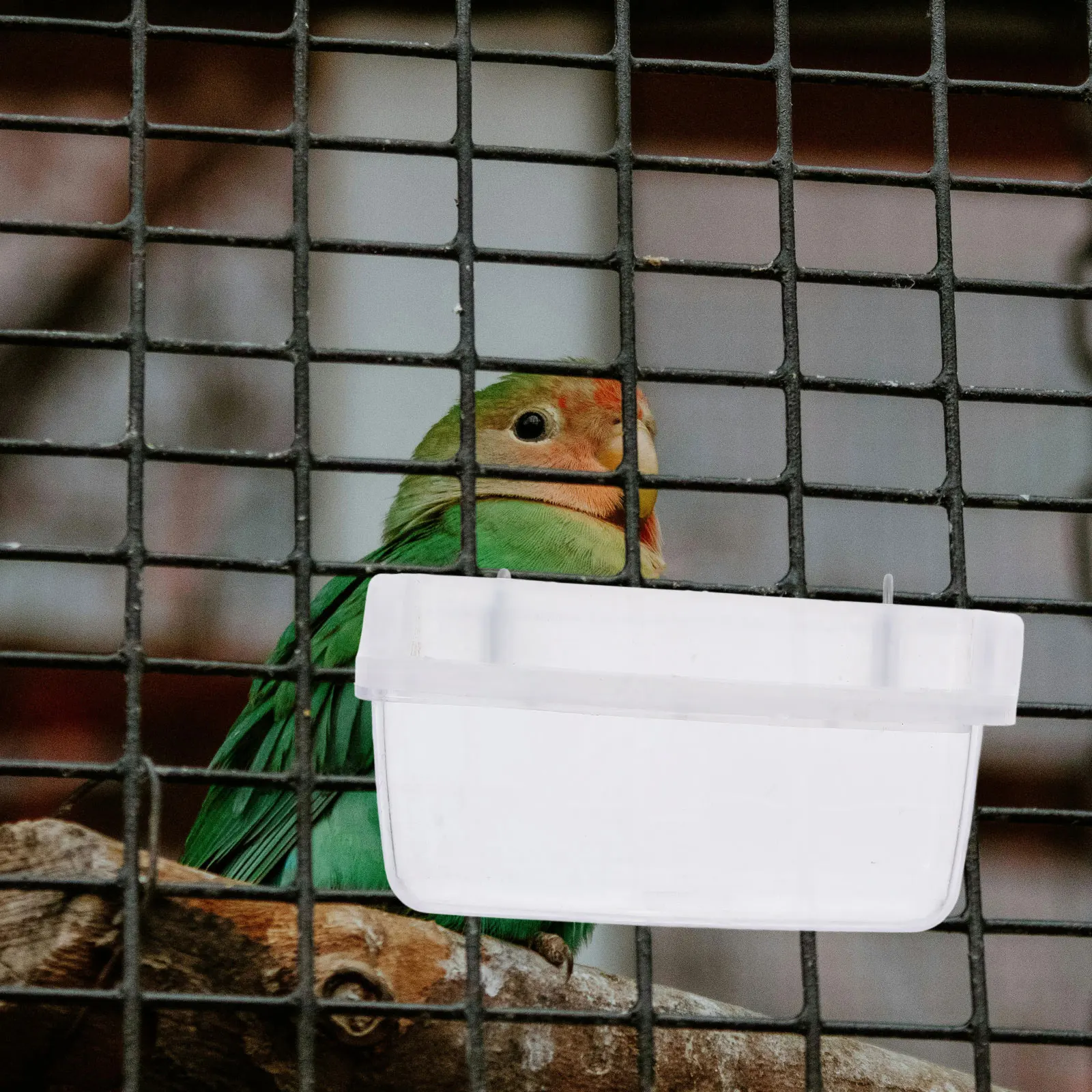 

Bird Feeder Transparent Splashproof Parrot Cage Food Container Hanging Dispenser Anti Spill Feeding Tool for Cage Bird