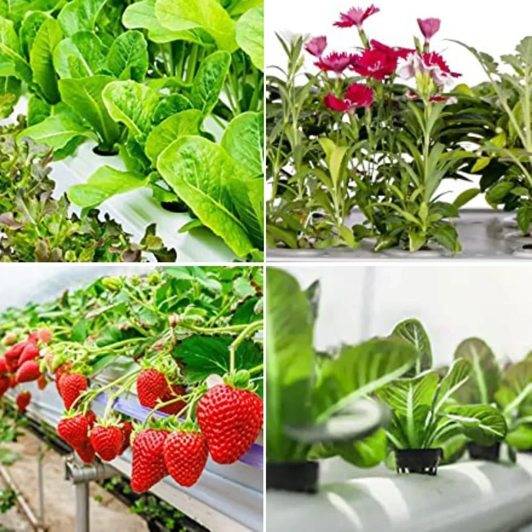 25PCS Pot Net Cups Slotted Mesh Wide Lip Filter Plant Net Pot Bucket Basket Vegetable Garden Grown Netted Baskets