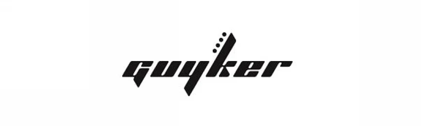Guyker Gitarrenknöpfe mit 6 mm Durchmesser. Shaft Pots – Potentiometerknopf im Bullet Case-Stil, Ton- und Lautstärkeregler für E-Gitarre oder B – Detail 1