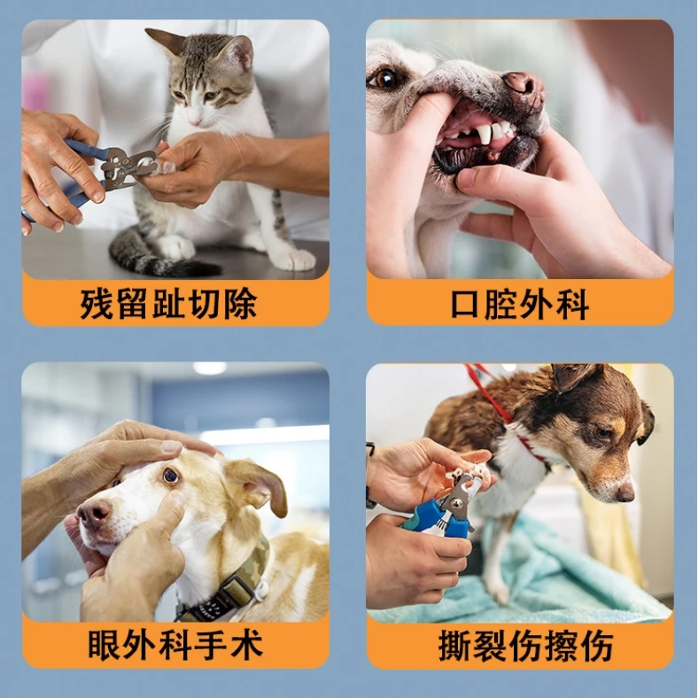 الحيوان البيطري الغراء الأنسجة لاصق الجرح إغلاق الجلد الجراحية لاصق #3