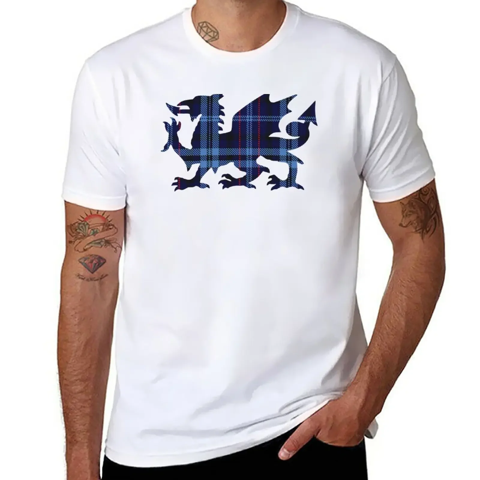 Roberts/Probert Family Welsh Dragon Tartan T-Shirt tops graphics Men's t shirts