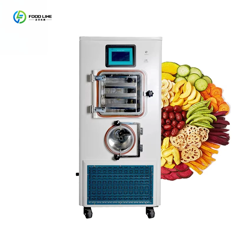 Easy-to-Operate Home Lyophilizer Portable Vegetable Fruit Milk Food Grade Freeze Dryer Mini Machine FL Customized