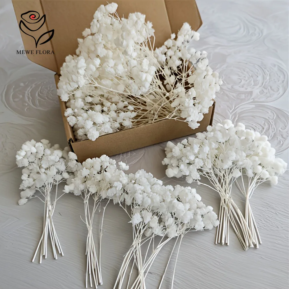 Lot de 50 mini-bouquets de fleurs séchées Gypsophile blanches, petits lots de Gypsophila en vrac pour loisirs créatifs, invitations, fabrication de bougies, décoration intérieure