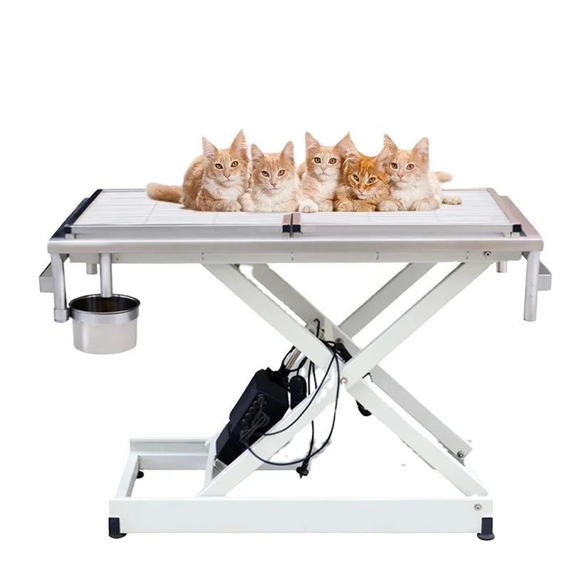 HC-R014 Veterinary Examination Table Bed Dog Cat Clinic Dissect Bed Vet Surgery Bed
