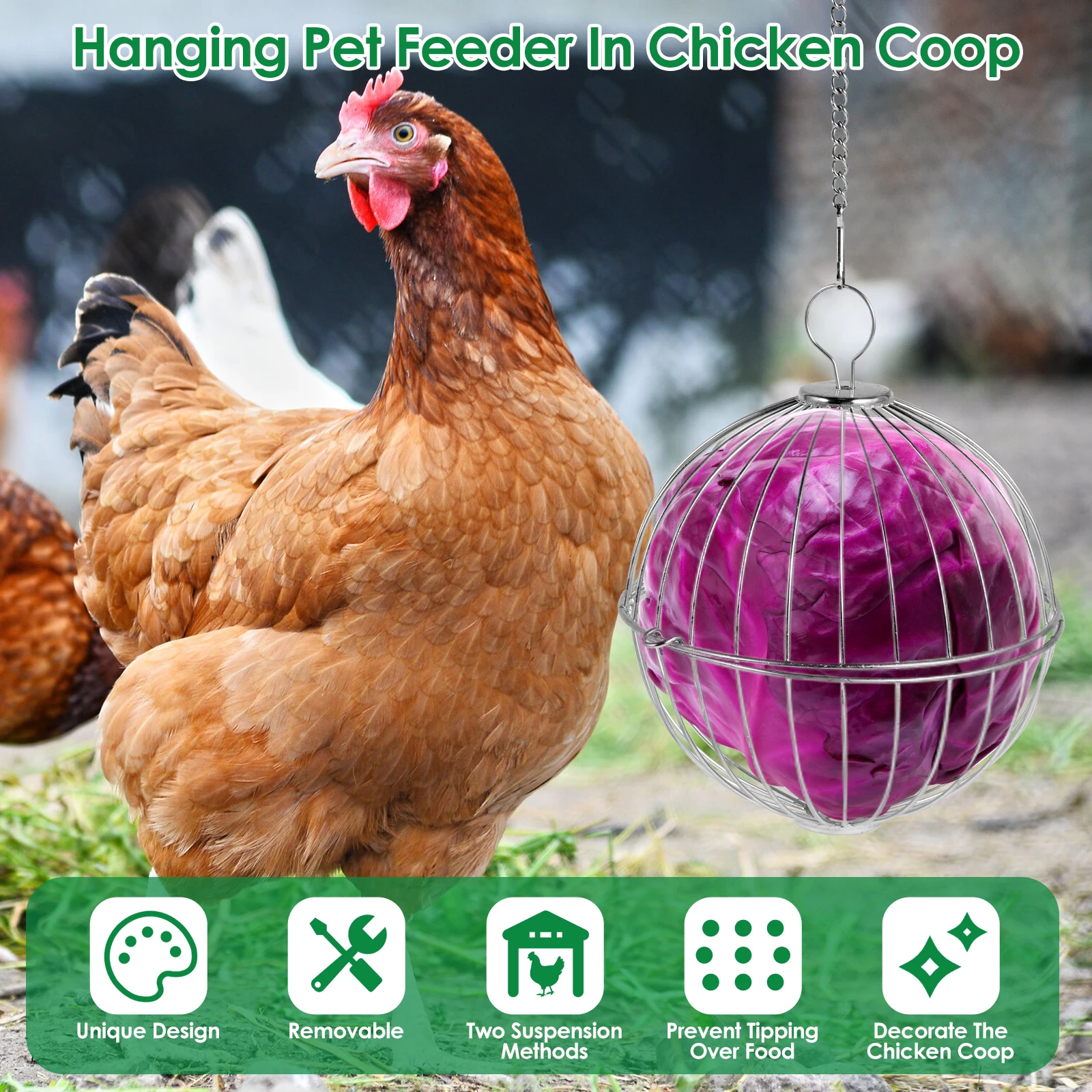 Chicken Vegetable Hanging Feeder Stainless Steel Poultry Feeder Ball Metal Detachable Feeding Ball with Chain Reusable Hanging