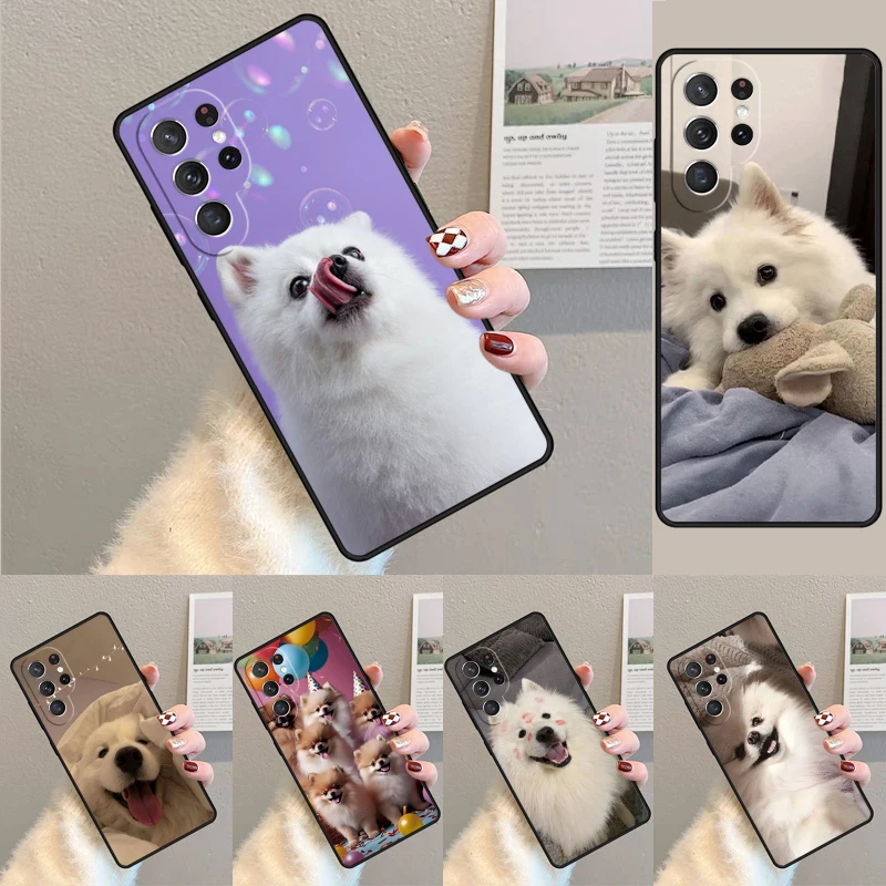 Cover For Samsung Galaxy S24 Ultra S21 S22 S8 S9 S10E Note 10 20 Plus FE S23 Pomeranian Dogs Dog Colorful Capa Phone case Coque