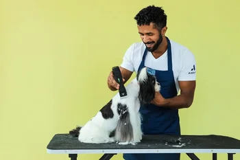 Detachable Blade Clipper Cordless Animal Dog Grooming Removable Lithium Ion Battery Charge Light Black 3