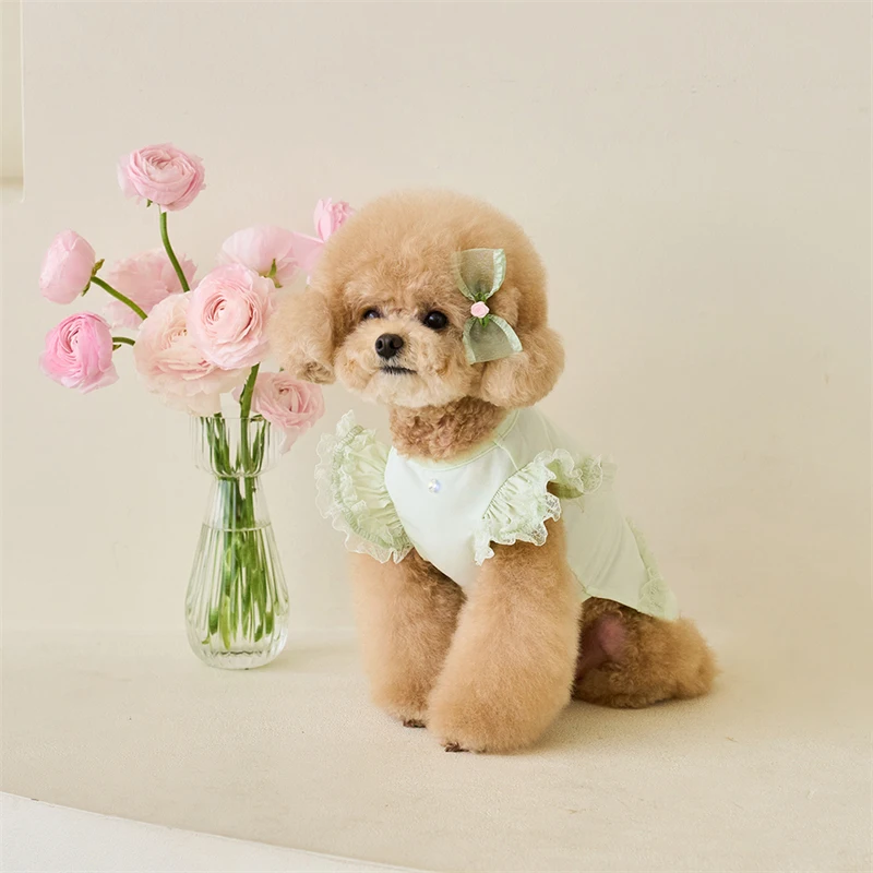 

Pet Clothes Dog Shirt Green Lace Ruffle Shirt Dress for Small Dog Kitten Clothes Summer Dog Shirt Puppy Chihuahua Clothes