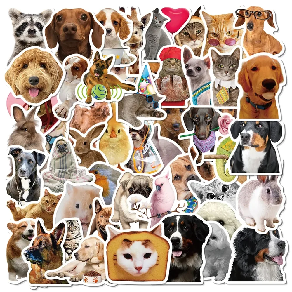 10/30/52 قطعة مضحك الكرتون الحيوان ميمي ملصقات لطيف القط الكلب الشارات Skateboard بها بنفسك سكيت الهاتف الأمتعة خوذة الكتابة على الجدران ملصق للهدايا #2