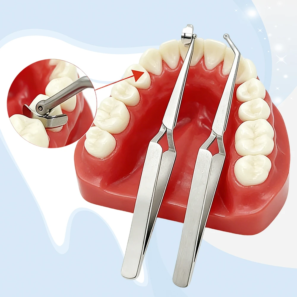 Stainless Steel Dental Matrix Band Holder Clamp with Sectional Placement Forceps for Precise Composite Filling Restoration Kit