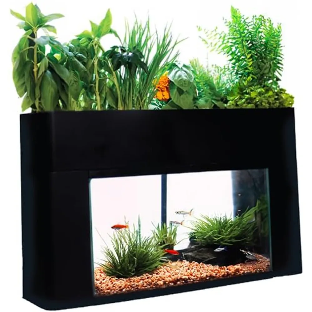 Zelfvoorzienende Desktop Aquarium Hydrocultuur Ecosysteem Kit Past Op Standaard 10 Gallon Aquaria