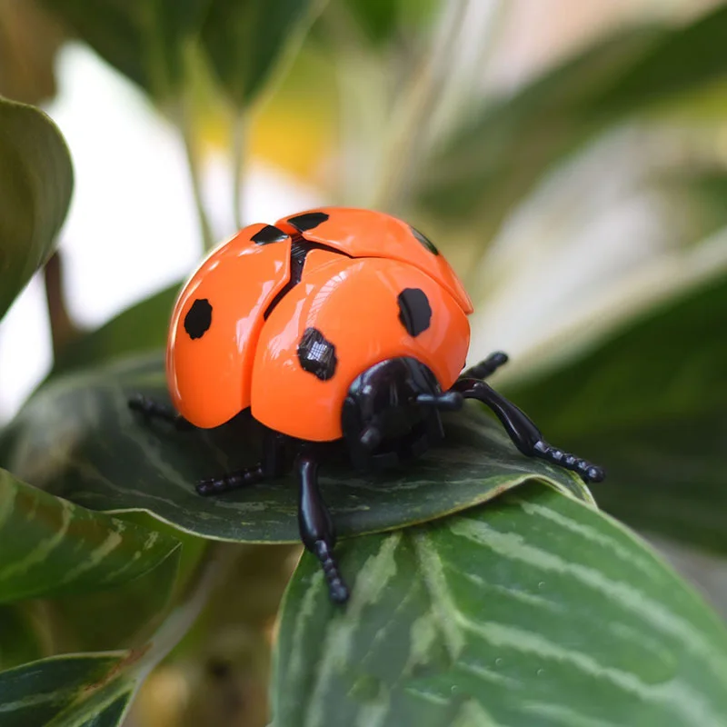 Carica Coccinella Giocattoli bionici Scherzo creativo Giocattolo di insetti animati Modello Animali di plastica per bambini Scarabeo Scarabeo Giocattolo di carica