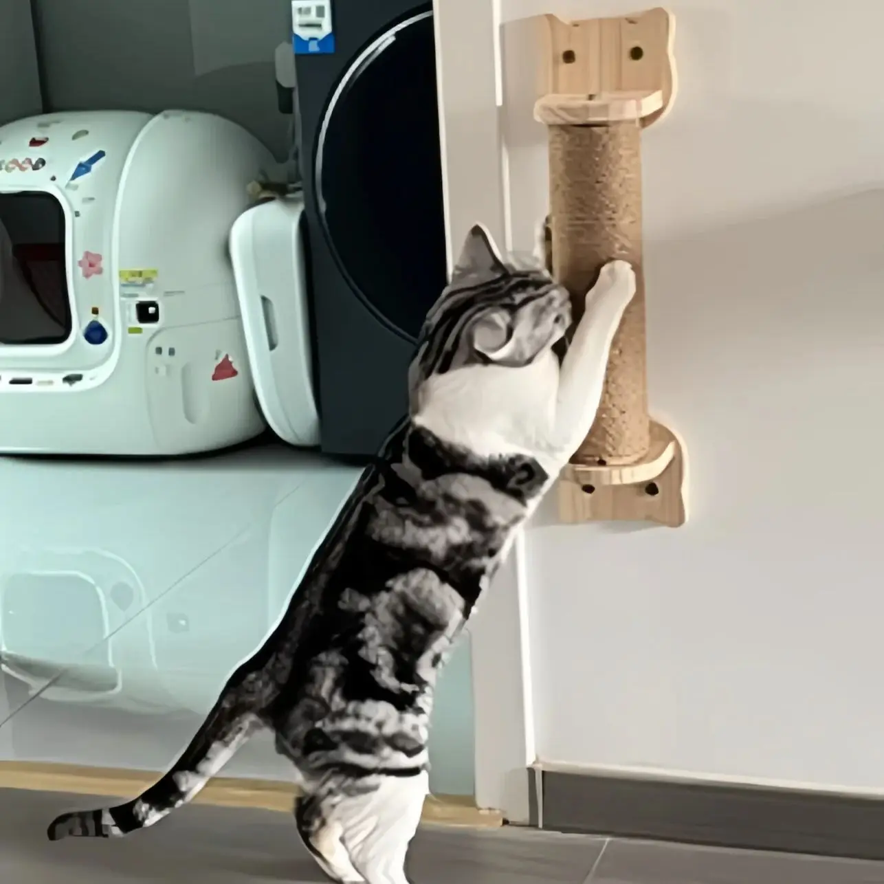 

Деревянная сизалевая веревка, когтеточка для котенка, дерево, более толстые колонны для больших кошек, настенная когтеточка для кошек, настенная мебель для домашних животных