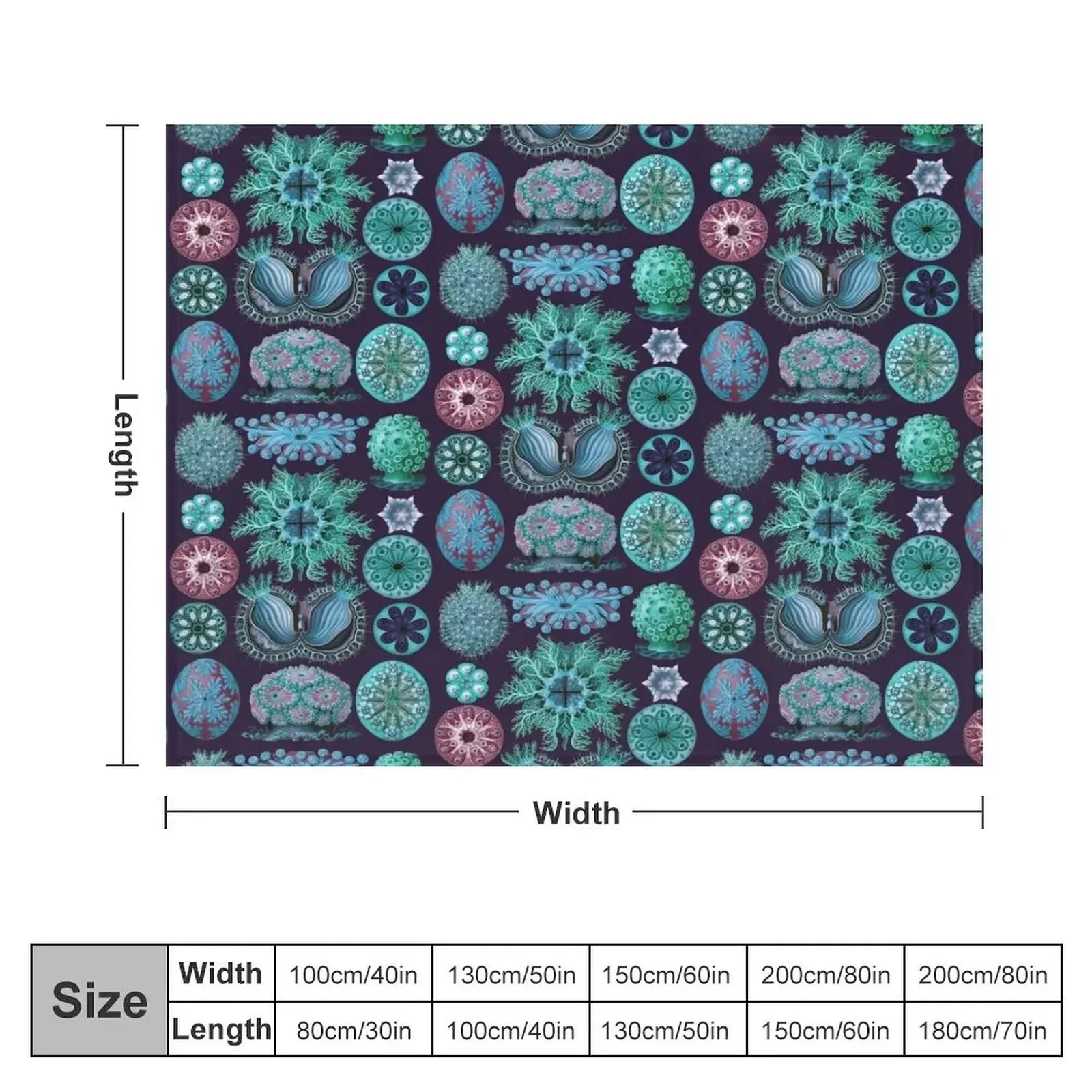 Ernst Haeckel Ascidiae Sea Squirts Teal Colorway Throw Blanket valentine gift ideas Decoratives for sofa wednesday Blankets