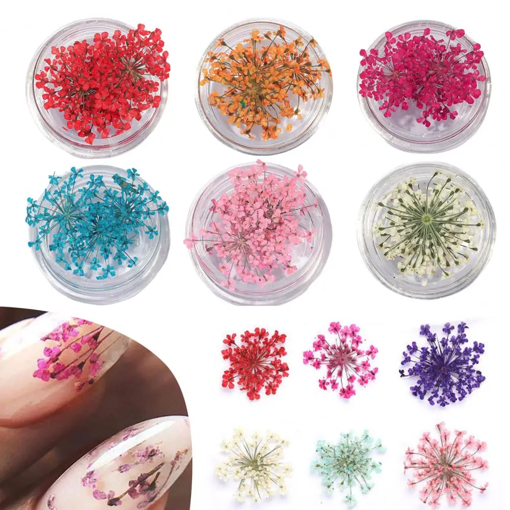 1 Box Nail Art Decorations  Natural   Dried Flower Decorations Colorful Natural Flowers DIY Nail Art Decoration