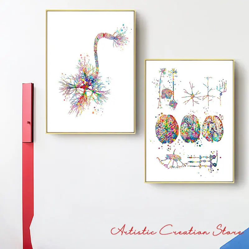 Neuroscience Art Neurology Poster Anatomical Brain Nervous Cell Synapse Neurologist Office Art Canvas Painting Clinic Wall Decor