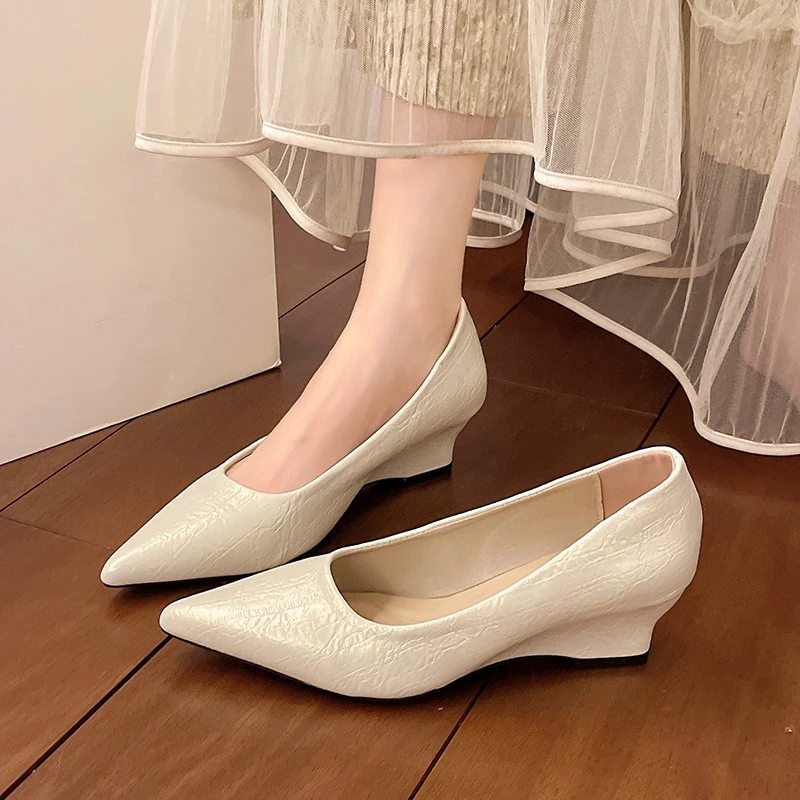 

Temperament Low Heel Shallow Mouth Pointed Toe Single Shoes Women Spring and Autumn New French Retro Slip-on Work Shoes