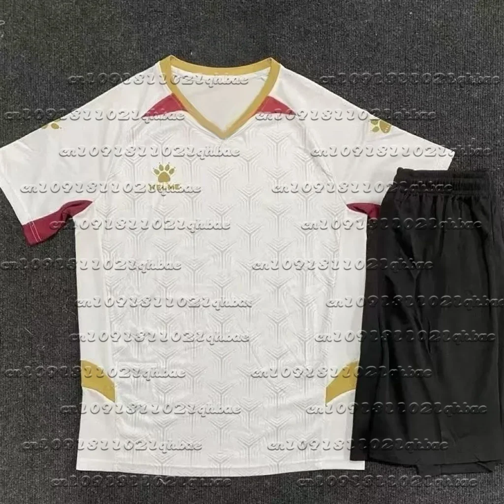 

2025 Summer Latest Racing Suit Men's Comfortable Quick Drying Super Large T-shirt Outdoor Sports Casual Top