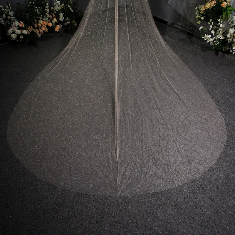 Fashionable Shiny Wedding Long Veil New Wedding Dress 3.8 M Lace White Gold Spray Korean Style Exquisite Bridal Headdress